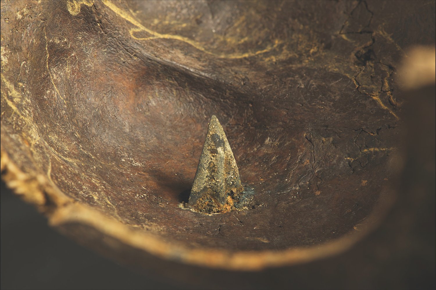 A skullcap from the Tollense Valley perforated by an arrowhead. Photo: Volker Minkus