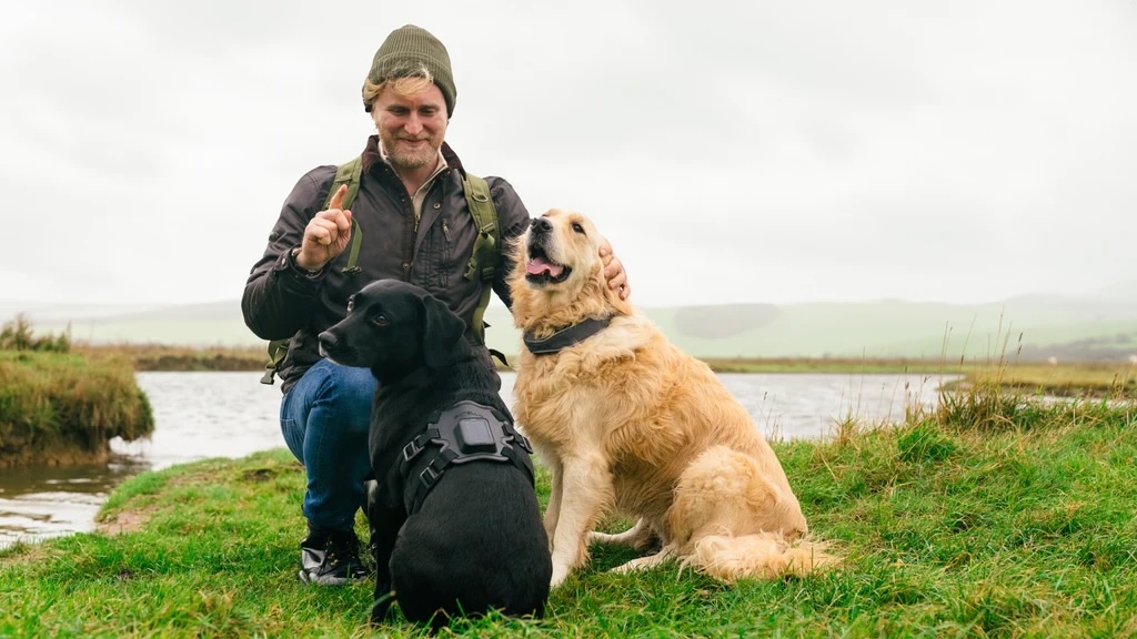 man crouching next to dogs