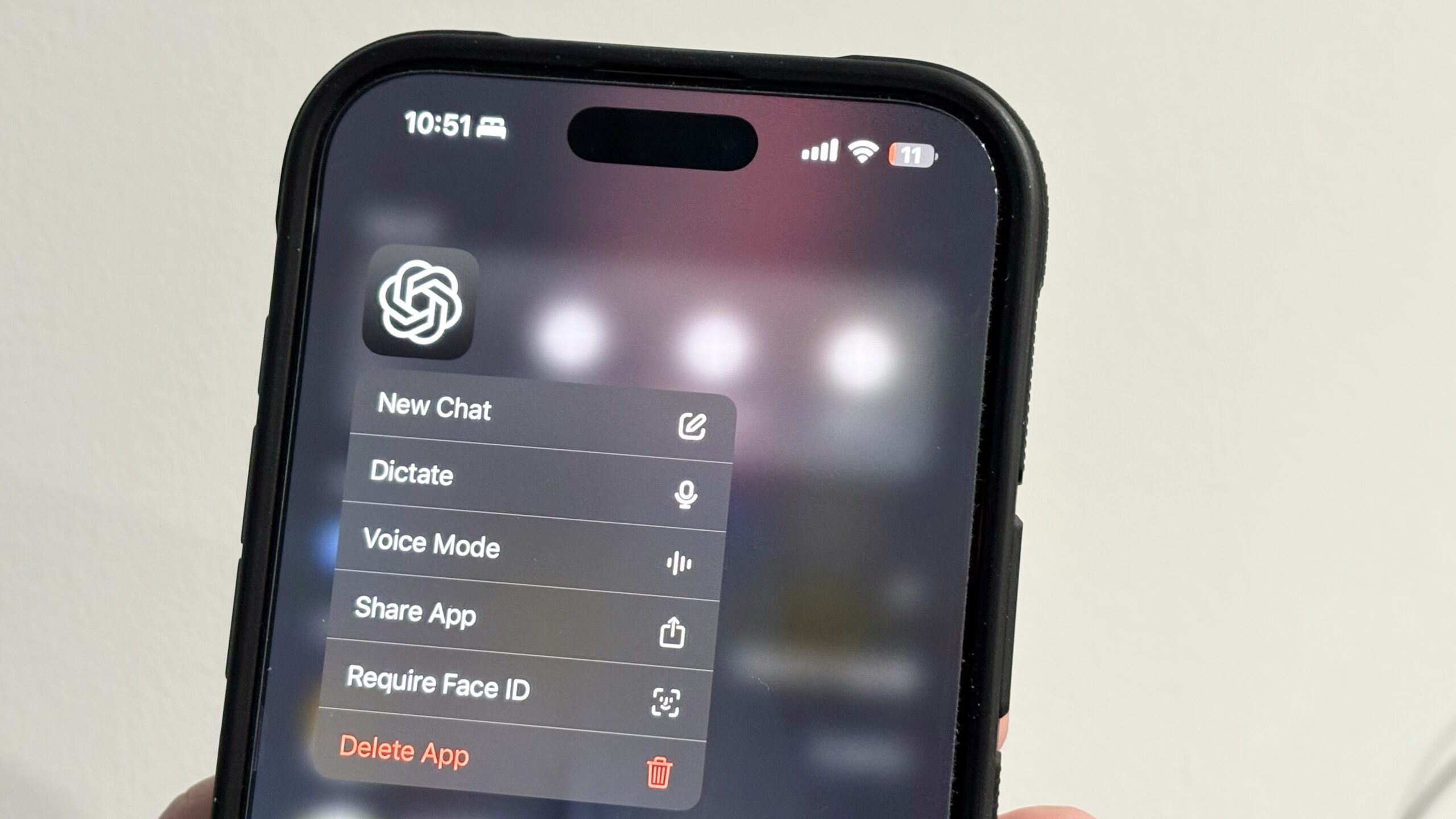 ChatGPT iPhone App Settings