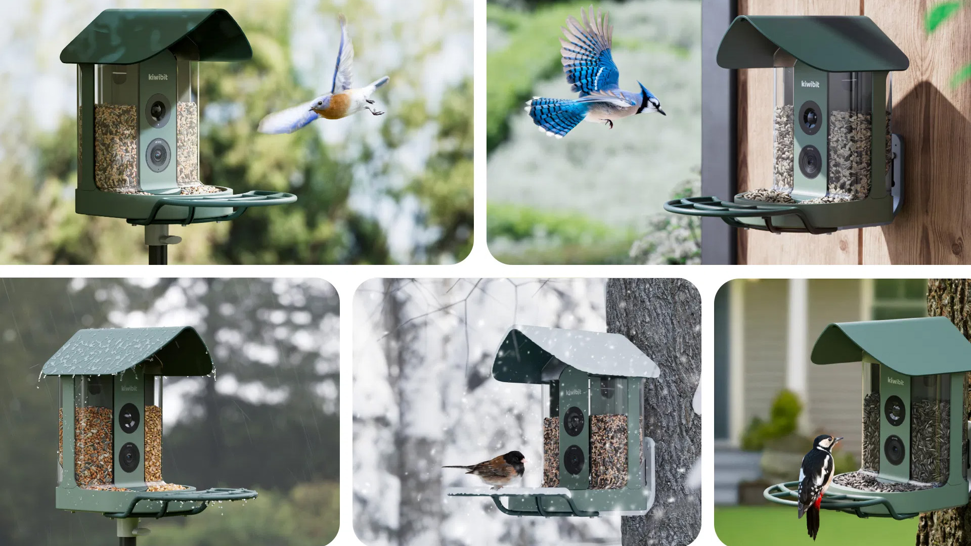 Beako Kiwibit bird feeder camera in situ in a garden