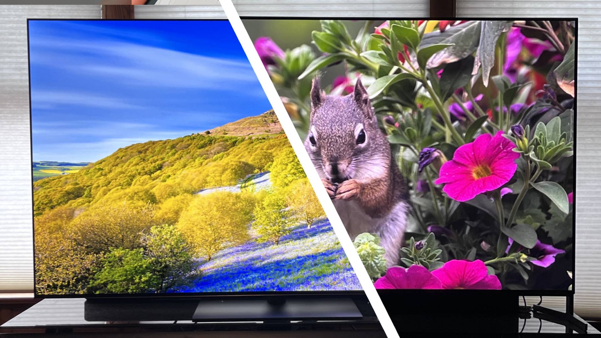 LG G5 and Sony Bravia 8 II OLED TVs showing images of mountainside and squirrel